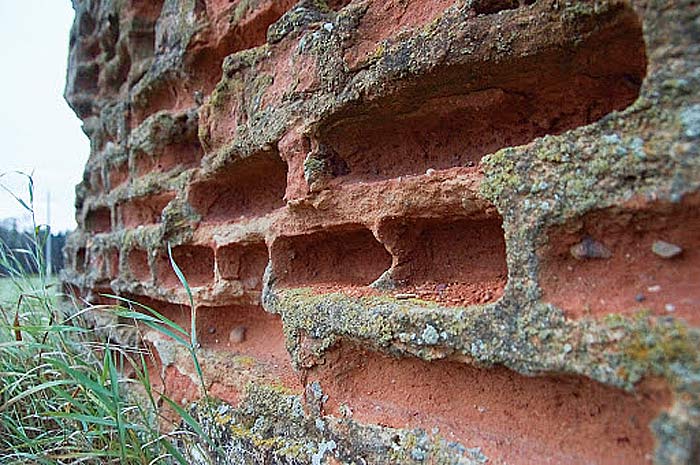 Vajdzieni. Road chapel , ruins