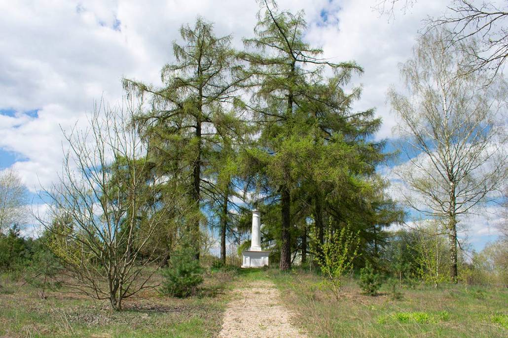  -  Kolumna. 