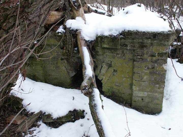  - Park dworski Tołłoczków. Fundamenty dworu