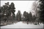 Supraśl.  cemetery Old Orthodox