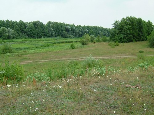 Шумакі. Краявіды 