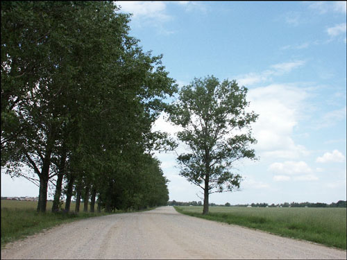 Zbirahi. Landscapes 