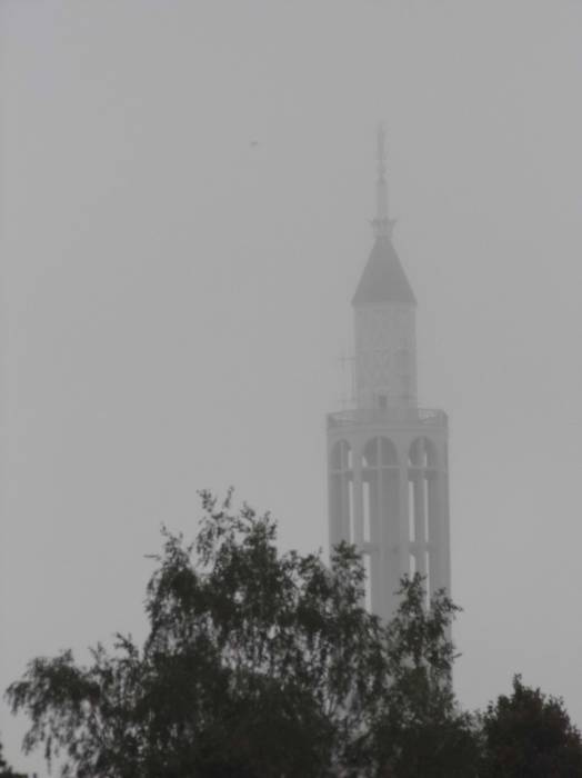  - Catholic church of St. Roch. 