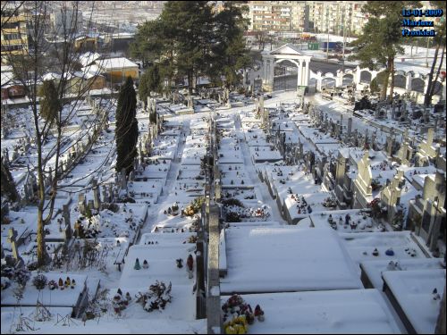  - cemetery Old Catholic (St. Roch). 