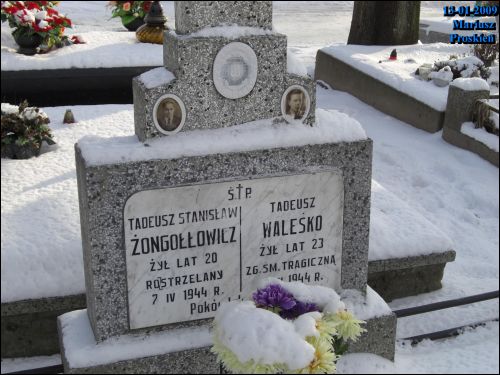  - cemetery Old Catholic (St. Roch). 