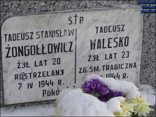  - cemetery Old Catholic (St. Roch). 