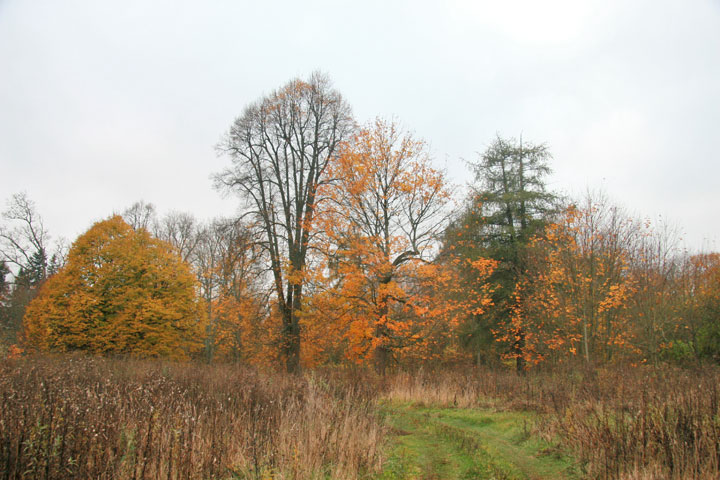 Stajki. Park dworski 