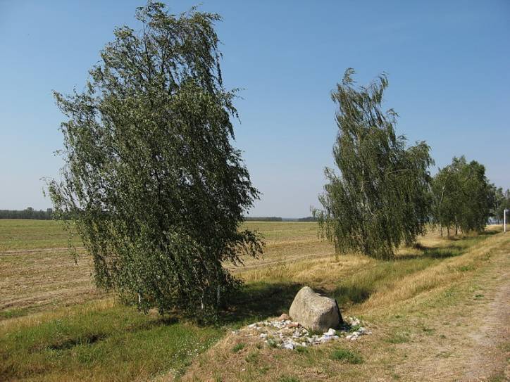 Bezdzież. We wsi 