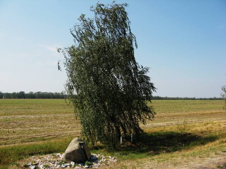 Bezdzież. We wsi 