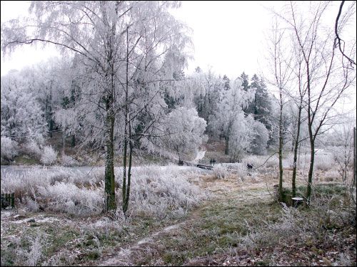  - Krajobrazy . Fragment parku