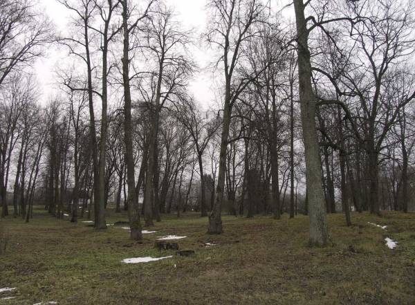 Высокое. Усадебно-парковый ансамбль Макшицких