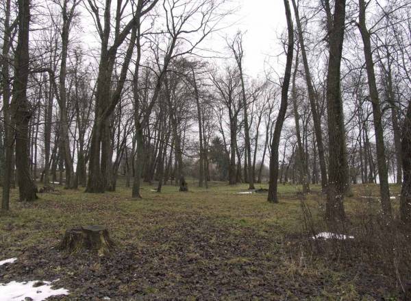 Высокое. Усадебно-парковый ансамбль Макшицких