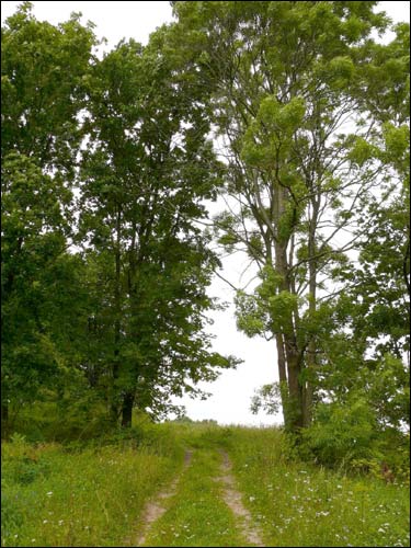 Bačejkava. Landscapes 