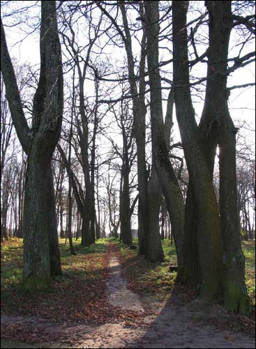 Dwór Nizhołów. Zespół dworsko-parkowy 