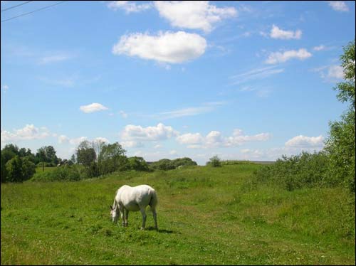 Sviača. Landscapes 