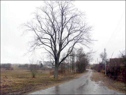 Ikażń. Krajobrazy 