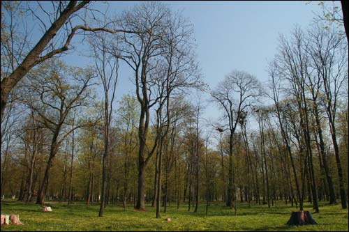 Pirkowicze. Zespół pałacowo-parkowy Wysłouchów