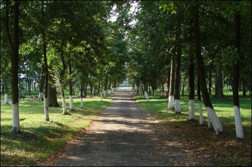 Pirkowicze. Zespół pałacowo-parkowy Wysłouchów