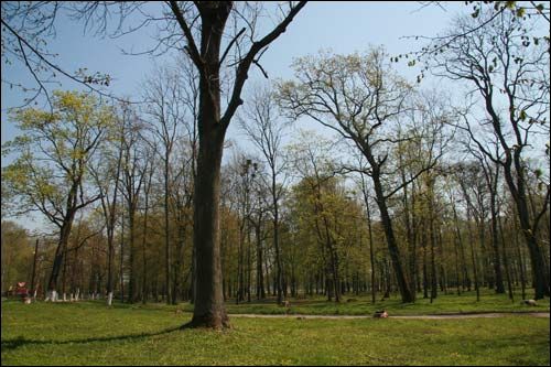 Pirkowicze. Zespół pałacowo-parkowy Wysłouchów
