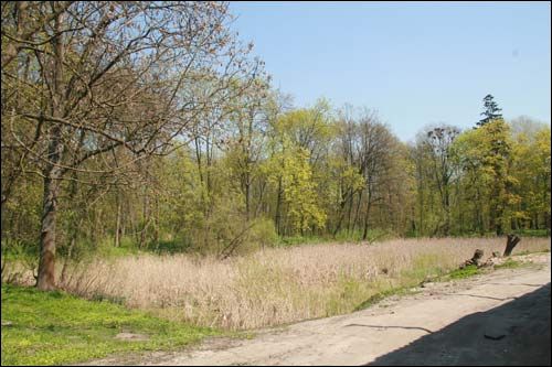 Pirkowicze. Zespół pałacowo-parkowy Wysłouchów