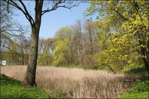 Pirkowicze. Zespół pałacowo-parkowy Wysłouchów