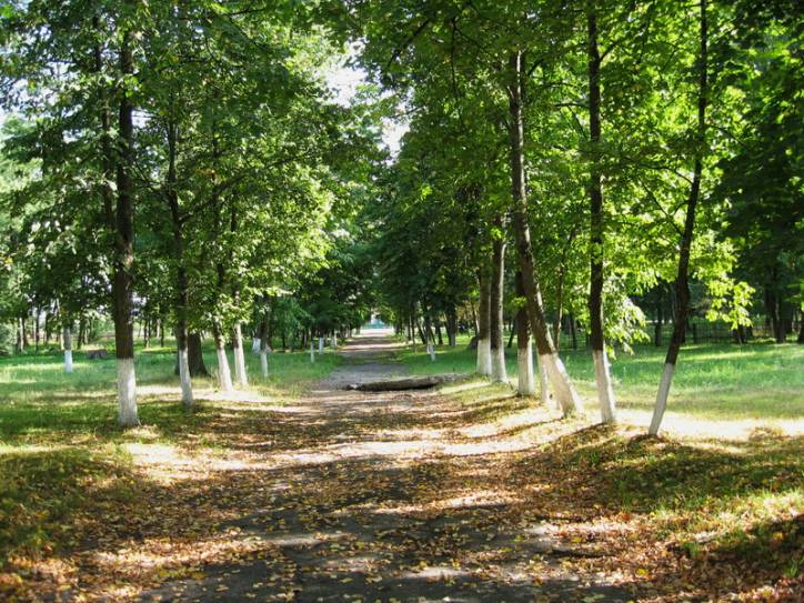 Pirkowicze. Zespół pałacowo-parkowy Wysłouchów