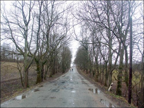 Opsa. Landscapes 