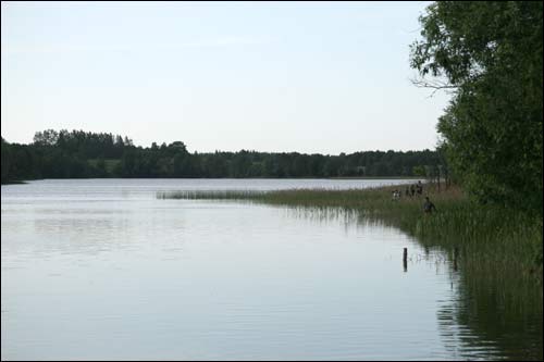 Opsa. Landscapes 