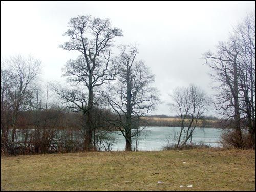 Opsa. Landscapes 