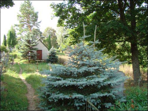 Miluncy (Pielikany). In the village 