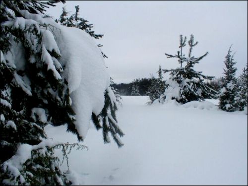 Słobódka. Krajobrazy 