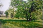 Socha (Załuże).  Park dworski Wysłouchów