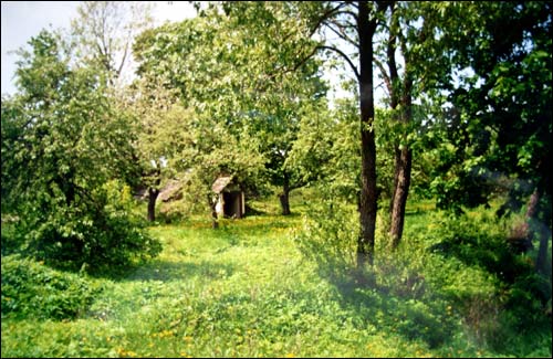 Socha (Załuże). Park dworski Wysłouchów