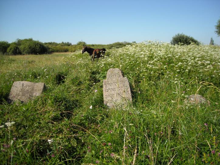 Čareja. cemetery Jewish