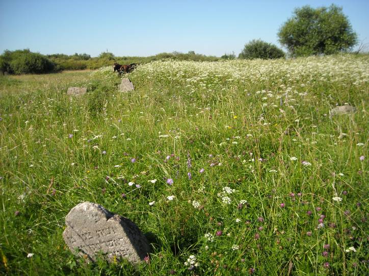  - Cmentarz żydowski. 
