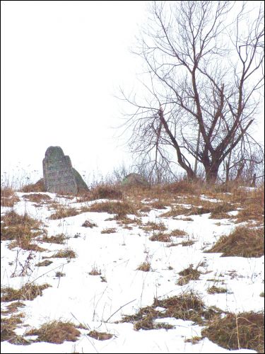  - Cmentarz żydowski. Mogiłki żydowskie za ulicą Mohylewską