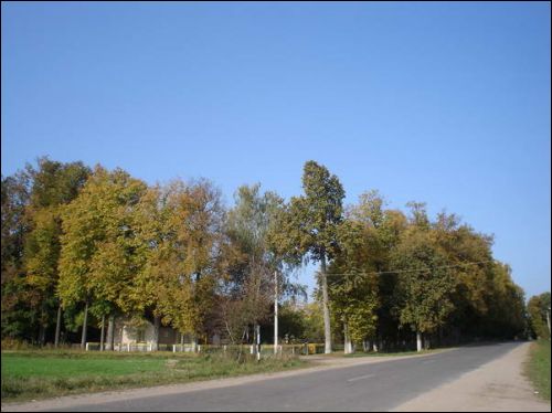Biarozaŭka. Manor park 