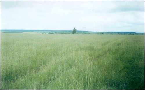 Chodaraŭka. Landscapes 