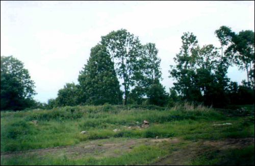Chodaraŭka. Manor park of the former Słavinski manor-place