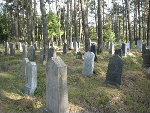 Dokšycy. Tatarian Cemetery
