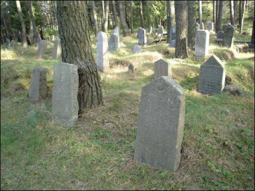 Dokšycy. Tatarian Cemetery