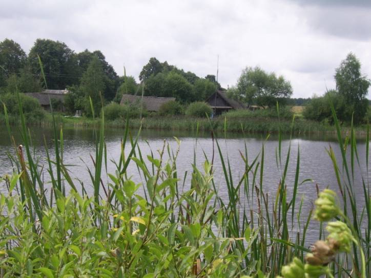 Hniazdziłava (Dvor). Landscapes 