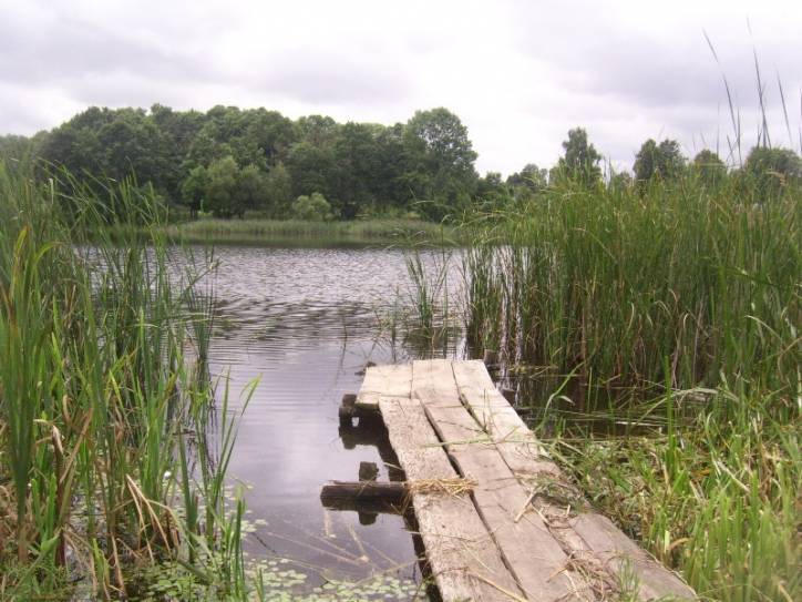Сажалка ў гняздзілаўскім парку