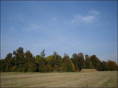 Janova. Manor park 