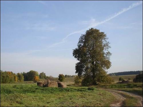 Janova. Manor park 
