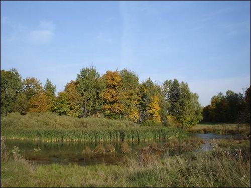 Janova. Manor park 