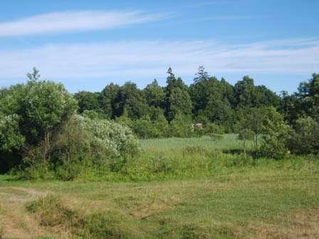 Kijakova. Landscapes 