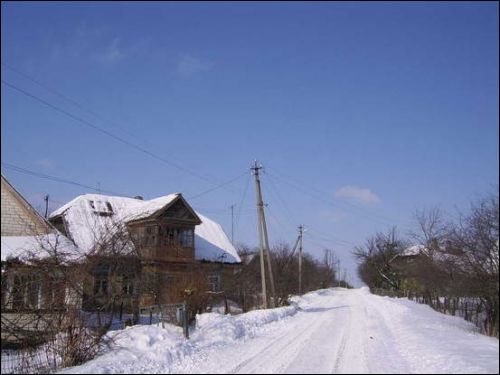  ().   