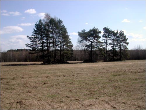Mastavucha.  Burial-mounds