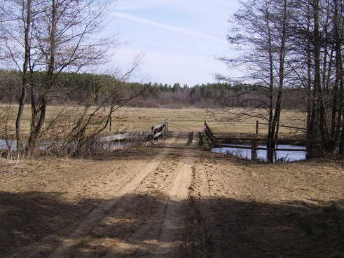 Biruli. Landscapes 